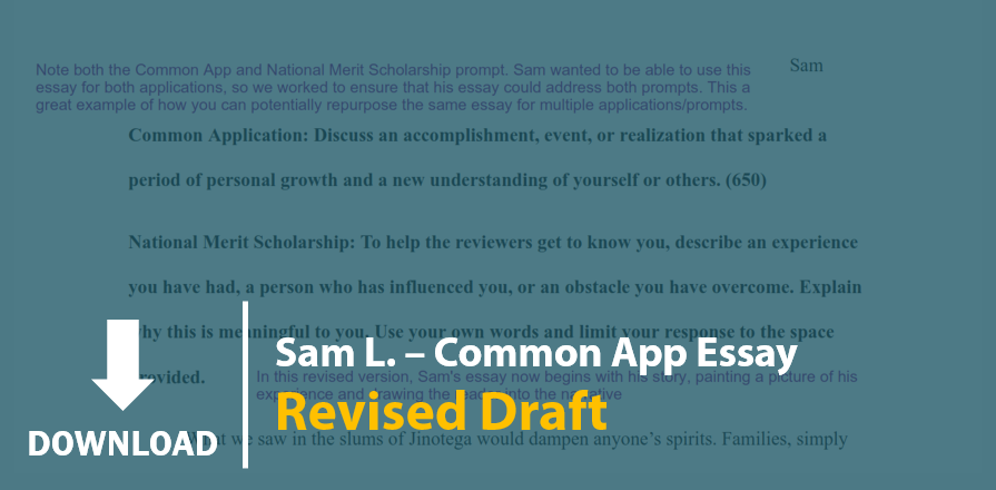 190810 SL Essay 2